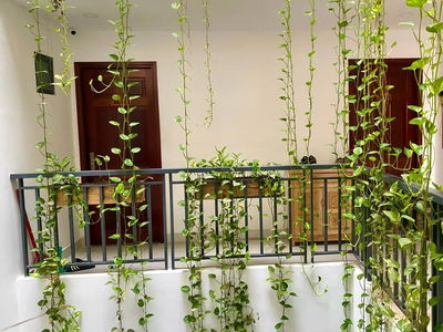 Logement dans Ho Chi Minh City, Vietnam Logement dans Ho Chi Minh City, Vietnam