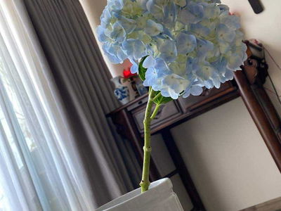 The Estella, Vietnam The Estella, Vietnam