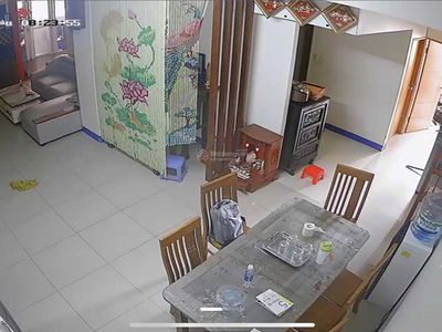 The Golden Dynasty (The Golden Dynasty), Vietnam The Golden Dynasty (The Golden Dynasty), Vietnam