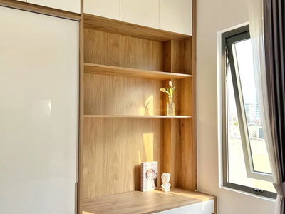 Housing in Ho Chi Minh City, Vietnam Housing in Ho Chi Minh City, Vietnam