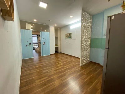 Pegasuit, Vietnam  Pegasuit, Vietnam