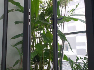 Logement dans Ho Chi Minh City, Vietnam Logement dans Ho Chi Minh City, Vietnam