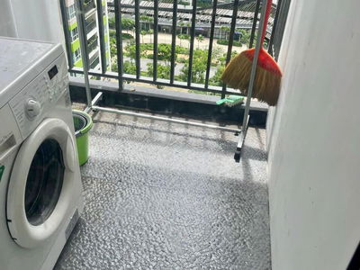 Green View, Vietnam  Green View, Vietnam