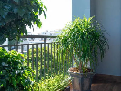 Alojamiento en Da Nang, Vietnam Alojamiento en Da Nang, Vietnam