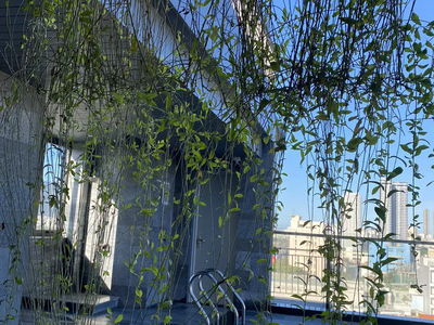 Gehäuse In Da Nang, Vietnam  Gehäuse In Da Nang, Vietnam