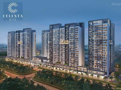 Celesta laughed, Vietnam Celesta laughed, Vietnam