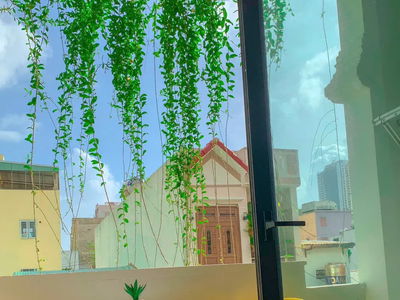 Жилье в Da Nang, Vietnam Жилье в Da Nang, Vietnam