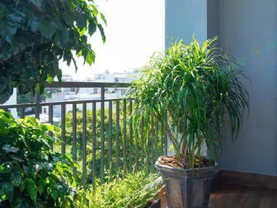 ing, Vietnam ing, Vietnam