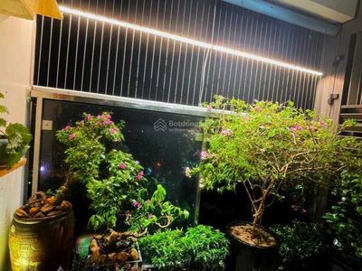 GoldSeason, Vietnam GoldSeason, Vietnam