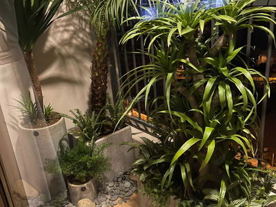 Tay Ho Tay Urban Area, Vietnam Tay Ho Tay Urban Area, Vietnam