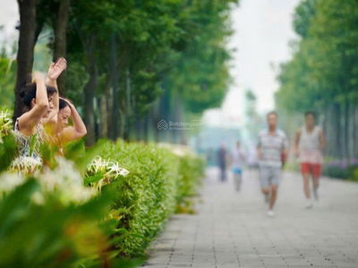 Park Kiara, Vietnam Park Kiara, Vietnam