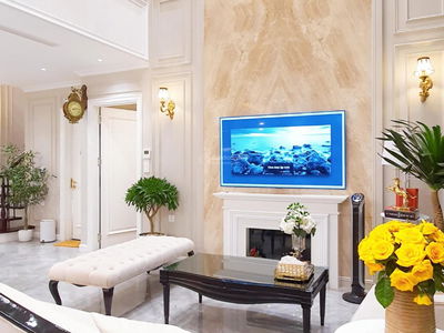 The Artemis Project, Vietnam The Artemis Project, Vietnam