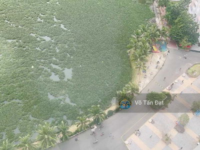 Dic Phoenix Project, Vietnam Dic Phoenix Project, Vietnam