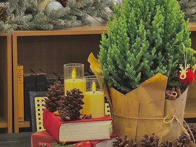 Centum Wealth Apartment, Vietnam Centum Wealth Apartment, Vietnam