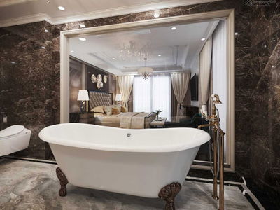 The Golden Palm Le Van Luong, Vietnam The Golden Palm Le Van Luong, Vietnam