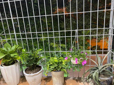 Nguyen Quy Duc Street, Vietnam Nguyen Quy Duc Street, Vietnam