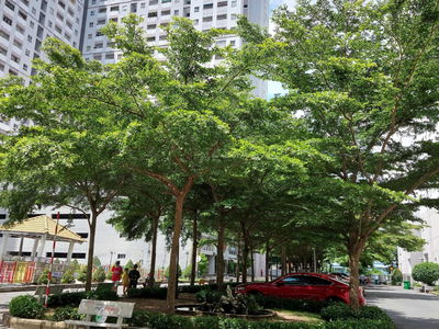 HQC Plaza, Vietnam  HQC Plaza, Vietnam