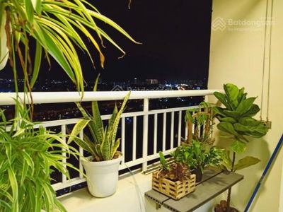 Washed Garden Washed Garden