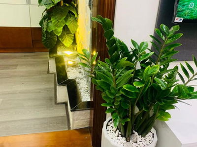 Nam Xa La Project, Vietnam Nam Xa La Project, Vietnam