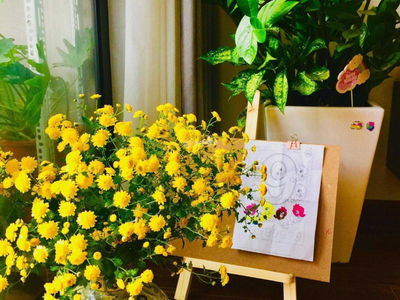 Bohemia Residence, Vietnam  Bohemia Residence, Vietnam