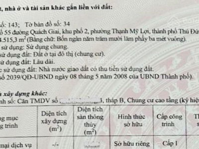 Thu Thiem Dragon, Vietnam Thu Thiem Dragon, Vietnam