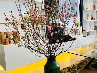 Masteri Thao Dien, Vietnam Masteri Thao Dien, Vietnam