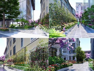 Bohemia Residence Project, Vietnam  Bohemia Residence Project, Vietnam