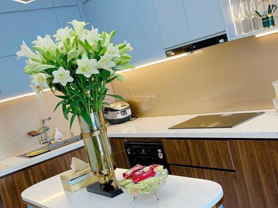 Phu Thinh Green Park Project, Vietnam  Phu Thinh Green Park Project, Vietnam