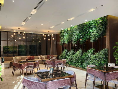 Zenith, Vietnam Zenith, Vietnam