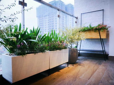 Imperia Garden, Vietnam  Imperia Garden, Vietnam