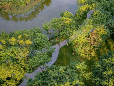 Sky Forest Residences Project, Vietnam Sky Forest Residences Project, Vietnam