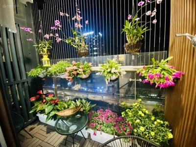 GoldSeason, Vietnam  GoldSeason, Vietnam