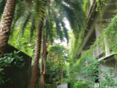 Mulberry Lane Project, Vietnam Mulberry Lane Project, Vietnam