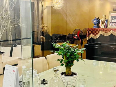 The Artemis, Vietnam The Artemis, Vietnam