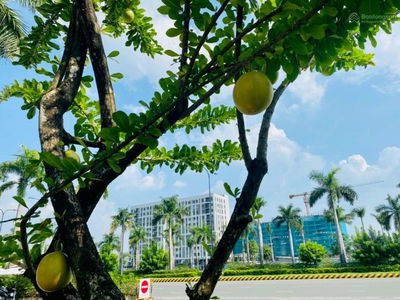 Ehome Southgate Project, Vietnam Ehome Southgate Project, Vietnam