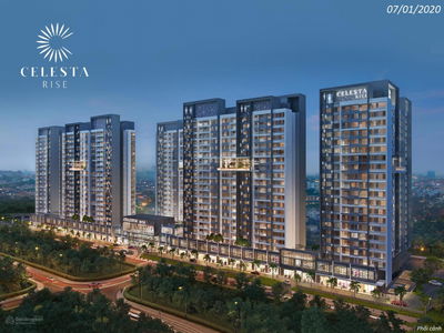 Celesta laughed, Vietnam Celesta laughed, Vietnam