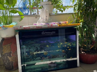 N105 Nguyen Phong Sac, Vietnam  N105 Nguyen Phong Sac, Vietnam