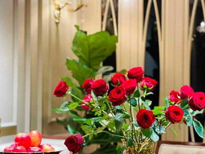 Diamond Flower Tower Project, Vietnam Diamond Flower Tower Project, Vietnam