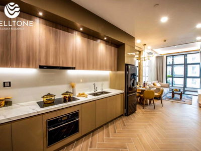 The Welltone Luxury Residence Project, Vietnam The Welltone Luxury Residence Project, Vietnam