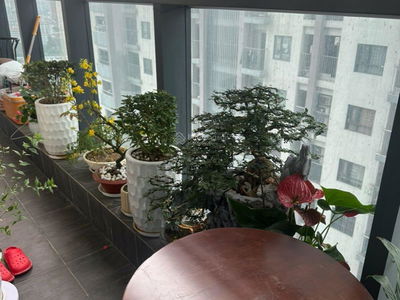 BRG Diamond Residence Project, Vietnam BRG Diamond Residence Project, Vietnam