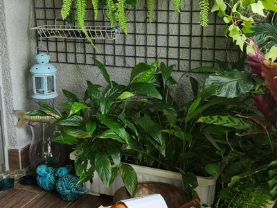 Docklands Saigon, Vietnam  Docklands Saigon, Vietnam