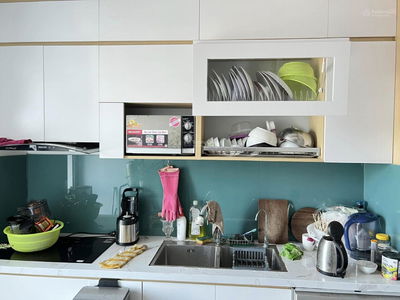 Ruby City Project, Vietnam Ruby City Project, Vietnam