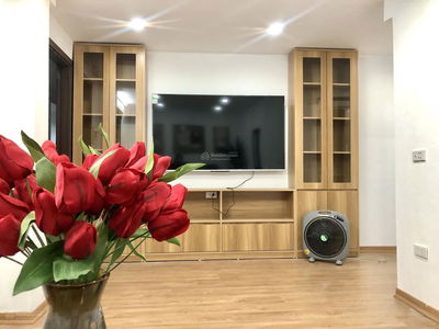 Lane 213, Vietnam Lane 213, Vietnam