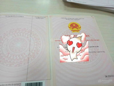 Iris Tower Project, Vietnam Iris Tower Project, Vietnam