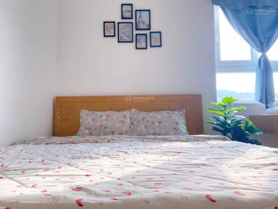 Vung Tau Melody Project, Vietnam  Vung Tau Melody Project, Vietnam