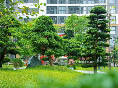 - Vinhomes Smart City, Vietnam  - Vinhomes Smart City, Vietnam