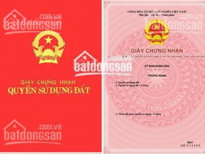 Vuon Dao Project, Vietnam Vuon Dao Project, Vietnam