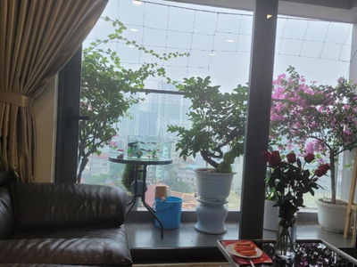 D'. Le Pont D'or - Hoang Cau, Vietnam D'. Le Pont D'or - Hoang Cau, Vietnam