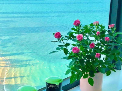 Muong Thanh Vien Trieu Project, Vietnam Muong Thanh Vien Trieu Project, Vietnam