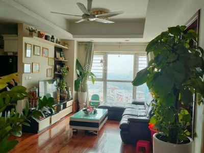 The Sparks Project, Vietnam The Sparks Project, Vietnam